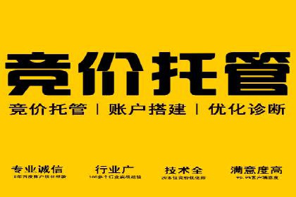 专业SEM推广托管，案例见证效果